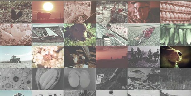 Concept Farm ad agency