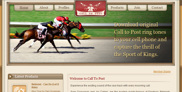 Call to post web site